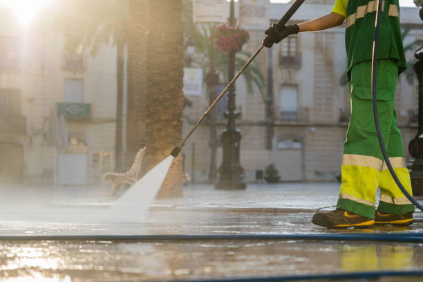 Deck Cleaning Services in Wadsworth, IL
