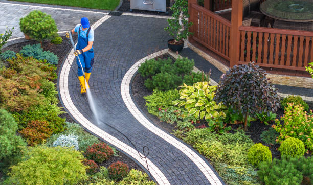 Best Best Pressure Washing Companies  in Wadsworth, IL
