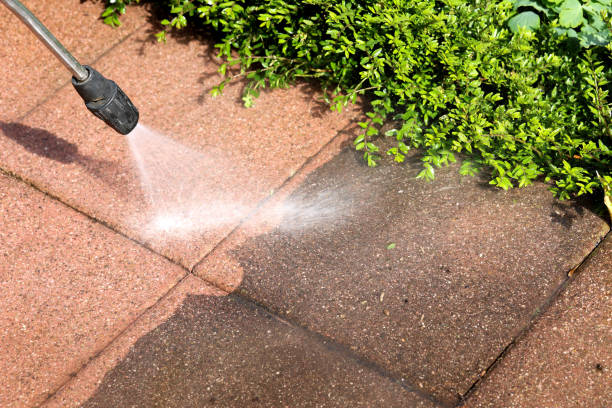 Best Deck Cleaning Services  in Wadsworth, IL